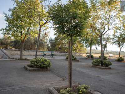 Il frate ci mostra i restauri effettuati grazie alla vendita della birra. La ripiantumazione del piazzale con giovani alberi...